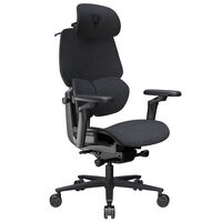 ThunderX3 Flex Pro Gaming Chair Ergonomic Fabric Grey