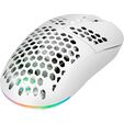 Gamiac PX71 Wireless Gaming Mouse White image number null