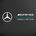 Mercedes-AMG Petronas Formula One Team Edition