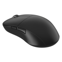 Endgame Gear XM2we Wireless Gaming Mouse Schwarz