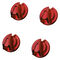 SOELPEC Rotary Knob Set - Lava