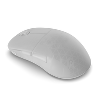 Endgame Gear XM2w 4K Wireless Gaming Mouse White Frost