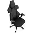 noblechairs Dawn Gaming Chair Black image number null