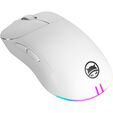 Gamiac PA50 Gaming Mouse White image number null